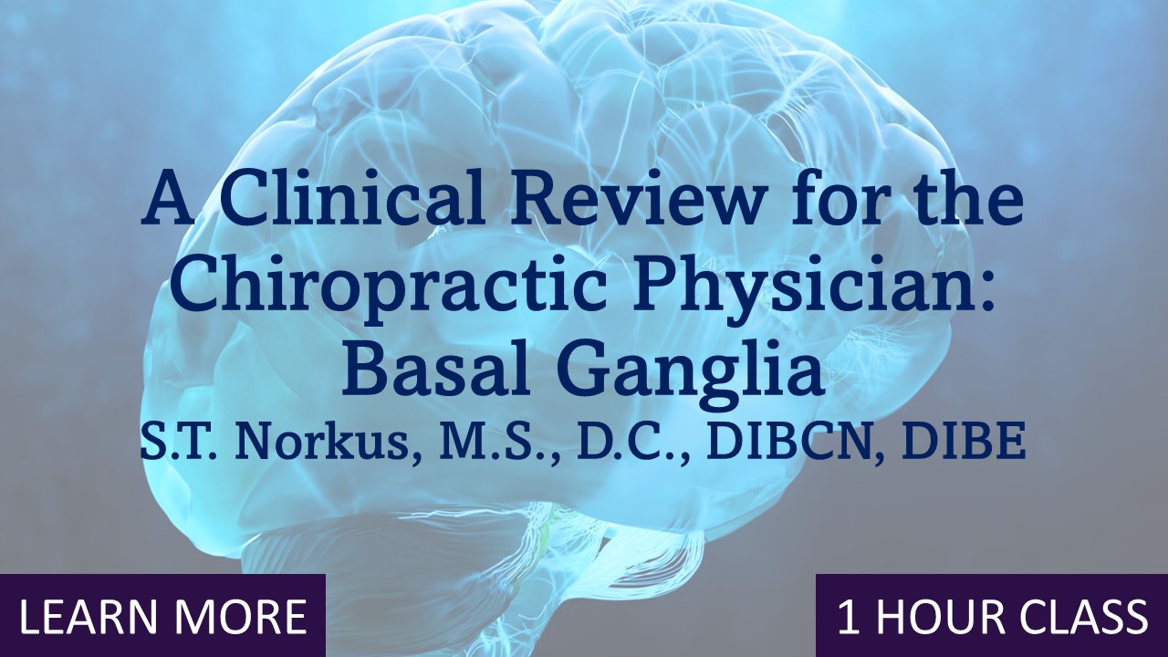Basal Ganglia: A Clinical Review for the Chiropractor